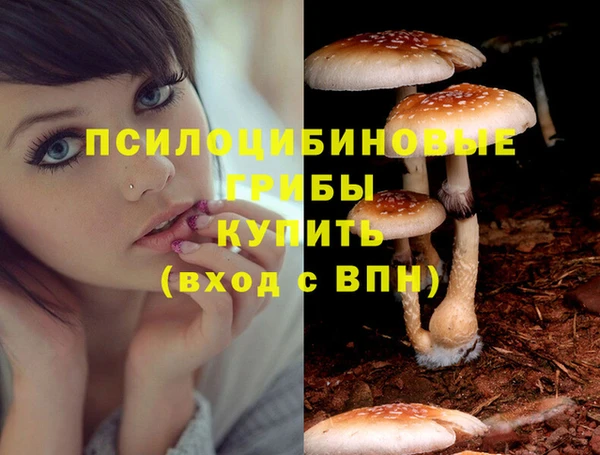 кокаин колумбия Краснослободск